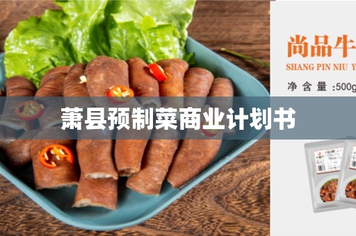 萧县预制菜商业计划书