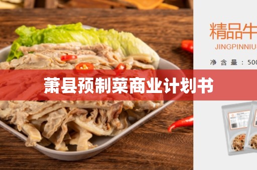 萧县预制菜商业计划书