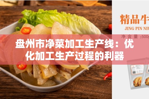 盘州市净菜加工生产线：优化加工生产过程的利器