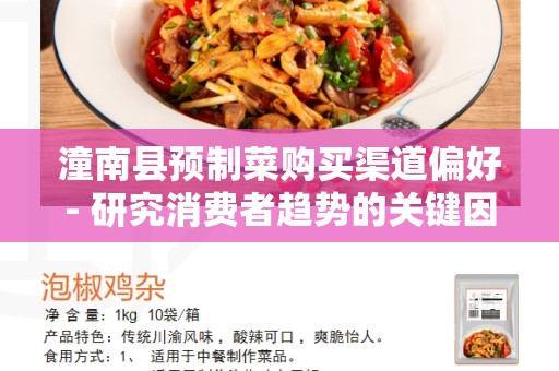 潼南县预制菜购买渠道偏好- 研究消费者趋势的关键因素