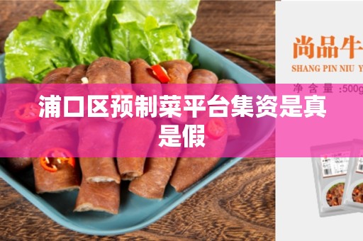 浦口区预制菜平台集资是真是假