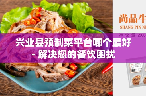 兴业县预制菜平台哪个最好- 解决您的餐饮困扰