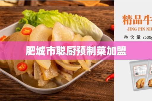 肥城市聪厨预制菜加盟