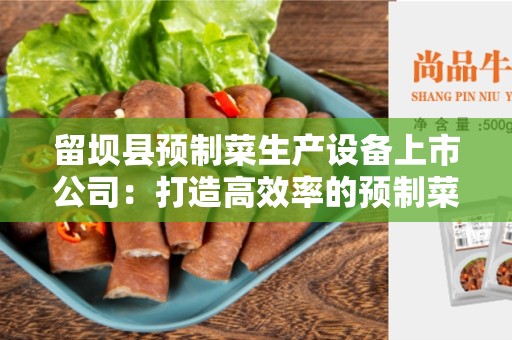 留坝县预制菜生产设备上市公司：打造高效率的预制菜生产工厂