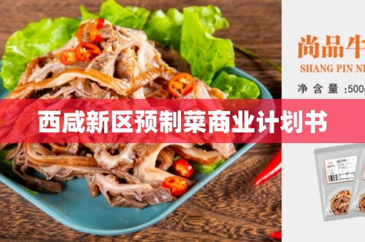 西咸新区预制菜商业计划书