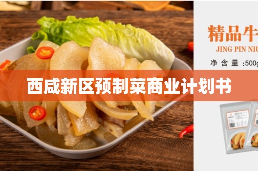 西咸新区预制菜商业计划书