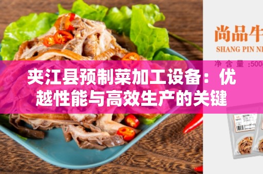 夹江县预制菜加工设备：优越性能与高效生产的关键