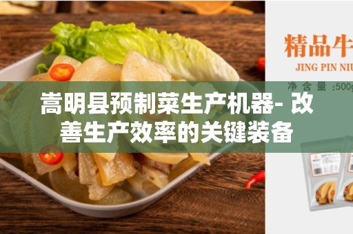 嵩明县预制菜生产机器- 改善生产效率的关键装备