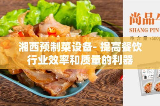 湘西预制菜设备- 提高餐饮行业效率和质量的利器