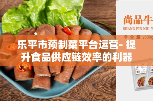 乐平市预制菜平台运营- 提升食品供应链效率的利器
