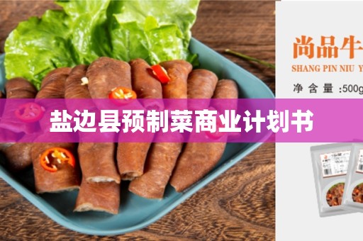 盐边县预制菜商业计划书