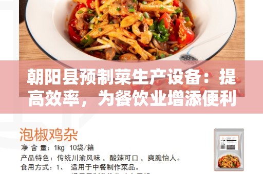 朝阳县预制菜生产设备：提高效率，为餐饮业增添便利性和可持续性