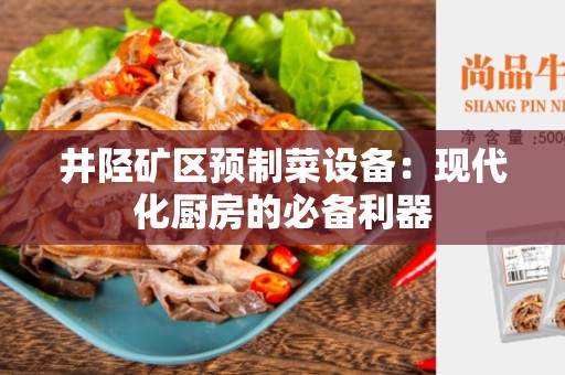 井陉矿区预制菜设备：现代化厨房的必备利器
