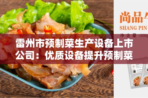 雷州市预制菜生产设备上市公司：优质设备提升预制菜行业生产效率和质量