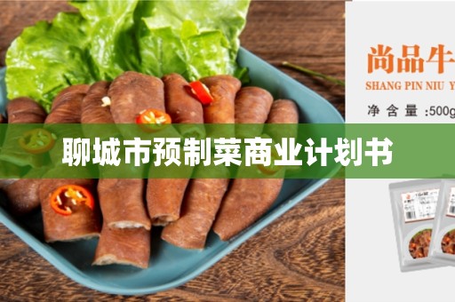 聊城市预制菜商业计划书
