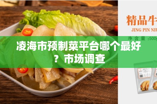 凌海市预制菜平台哪个最好？市场调查