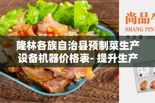 隆林各族自治县预制菜生产设备机器价格表- 提升生产效率的关键元素