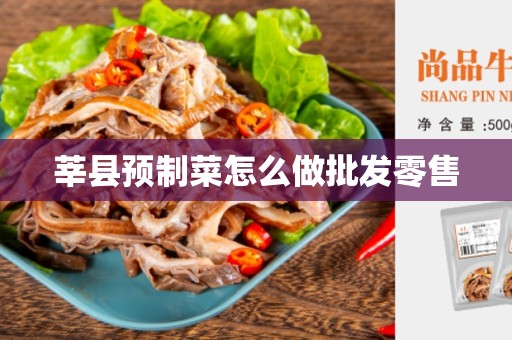莘县预制菜怎么做批发零售