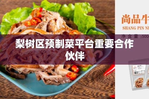 梨树区预制菜平台重要合作伙伴