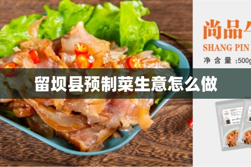 留坝县预制菜生意怎么做