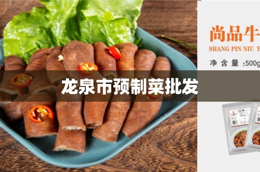 龙泉市预制菜批发