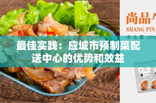 最佳实践：应城市预制菜配送中心的优势和效益