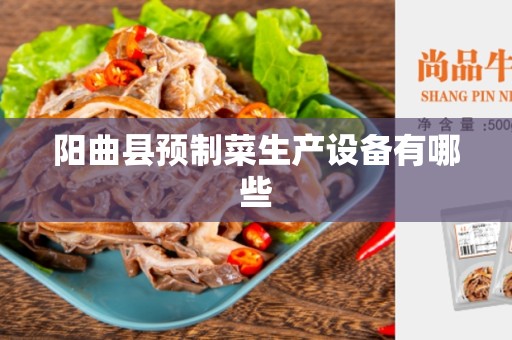 阳曲县预制菜生产设备有哪些