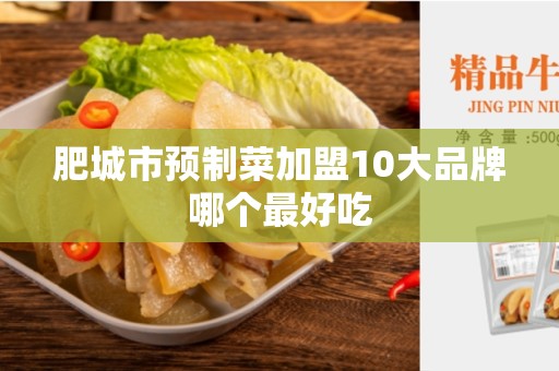 肥城市预制菜加盟10大品牌哪个最好吃