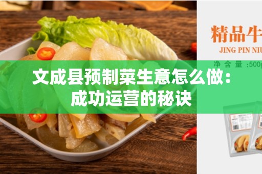 文成县预制菜生意怎么做：成功运营的秘诀