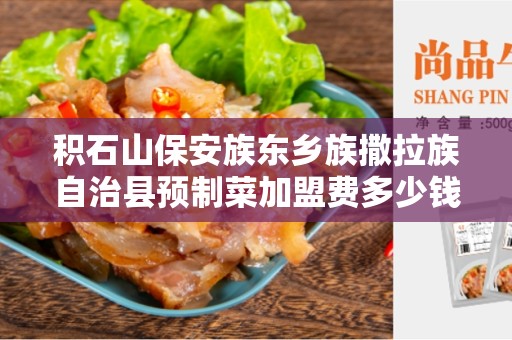 积石山保安族东乡族撒拉族自治县预制菜加盟费多少钱- 了解预制菜加盟的成本和机会