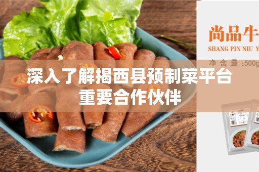 深入了解揭西县预制菜平台重要合作伙伴