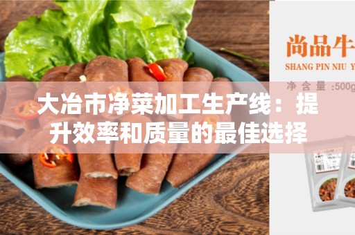 大冶市净菜加工生产线：提升效率和质量的最佳选择