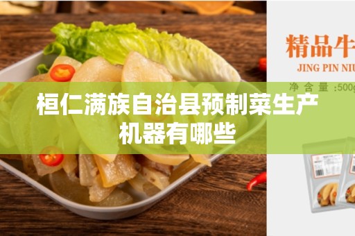 桓仁满族自治县预制菜生产机器有哪些