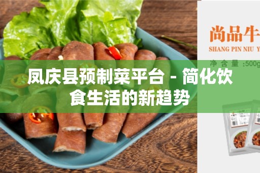 凤庆县预制菜平台 - 简化饮食生活的新趋势