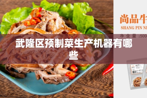 武隆区预制菜生产机器有哪些