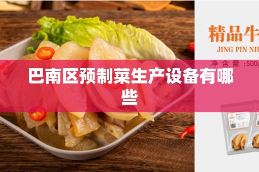 巴南区预制菜生产设备有哪些