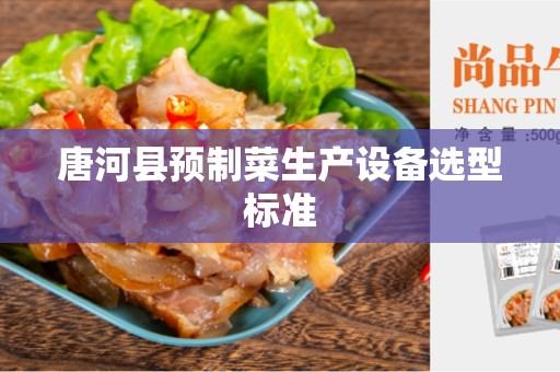 唐河县预制菜生产设备选型标准