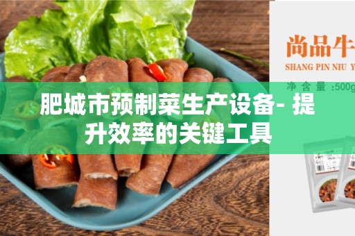 肥城市预制菜生产设备- 提升效率的关键工具