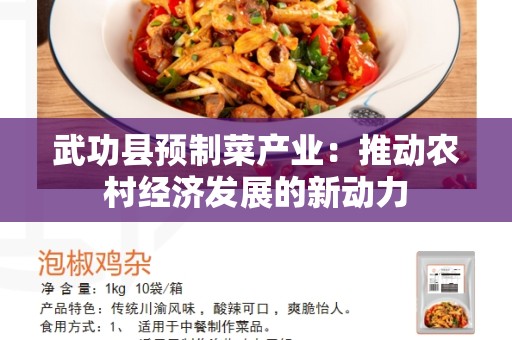 武功县预制菜产业：推动农村经济发展的新动力