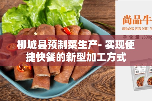 柳城县预制菜生产- 实现便捷快餐的新型加工方式