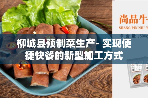 柳城县预制菜生产- 实现便捷快餐的新型加工方式