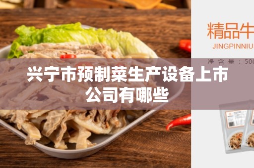 兴宁市预制菜生产设备上市公司有哪些