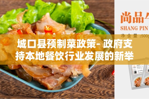 城口县预制菜政策- 政府支持本地餐饮行业发展的新举措