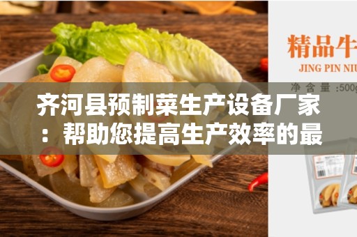齐河县预制菜生产设备厂家：帮助您提高生产效率的最佳选择
