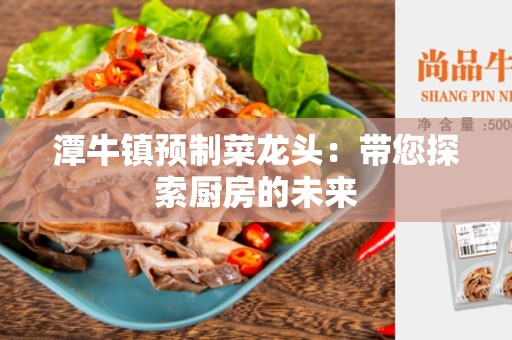 潭牛镇预制菜龙头：带您探索厨房的未来