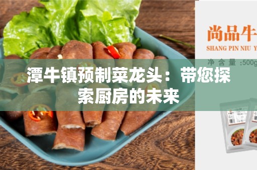 潭牛镇预制菜龙头：带您探索厨房的未来