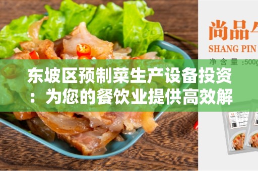 东坡区预制菜生产设备投资：为您的餐饮业提供高效解决方案