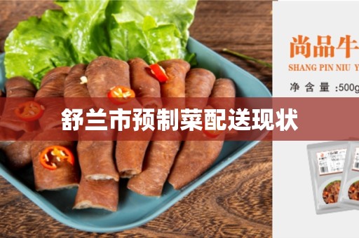 舒兰市预制菜配送现状