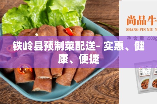 铁岭县预制菜配送- 实惠、健康、便捷