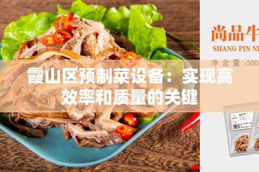 霞山区预制菜设备：实现高效率和质量的关键